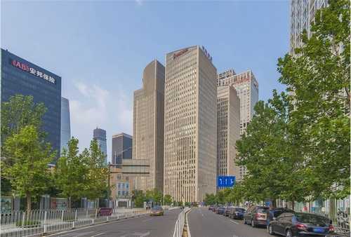 青岛优牌茶树精油代理