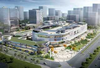 官方花卉租赁供应商家