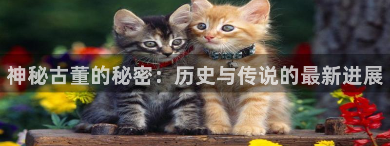 门徒下载：神秘古董的秘密：历史与传说的最新进展