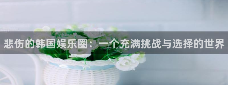 门徒娱乐下载：悲伤的韩国娱乐圈：一个充满挑战与选择的世界