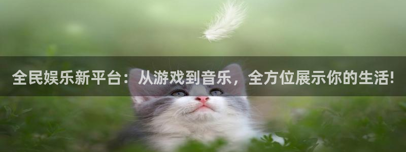 门徒娱乐旧版(老版本)：全民娱乐新平台：从游戏到音乐，全方位展示你的生活!