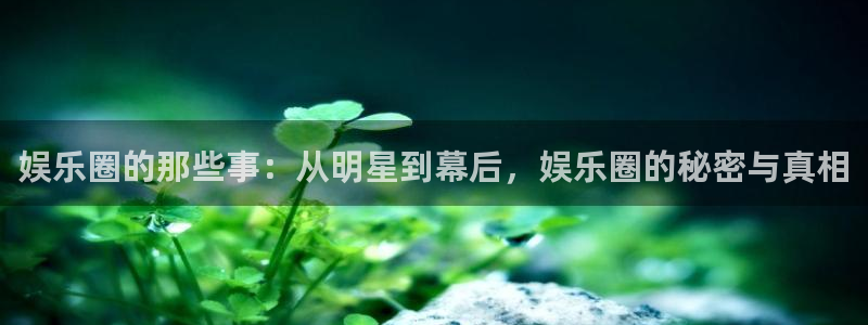 门徒娱乐地址：娱乐圈的那些事：从明星到幕后，娱乐圈的秘密与真相