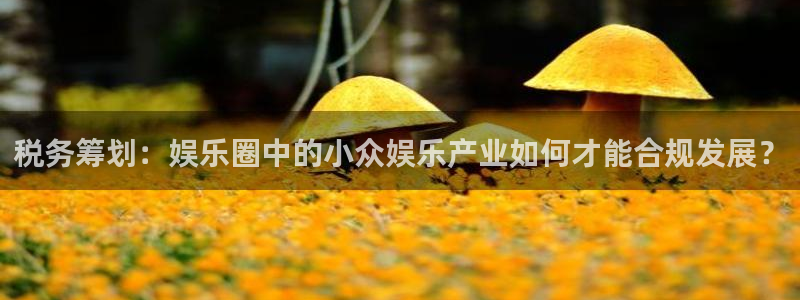 门徒娱乐：税务筹划：娱乐圈中的小众娱乐产业如何才能合规发展？