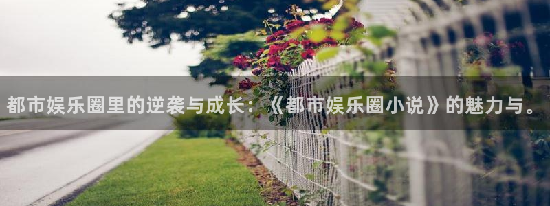 门徒娱乐vk账号查询入口是什么：都市娱乐圈里的逆袭与成长：《都市娱乐圈小说》的魅力与。
