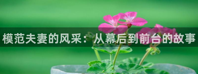 门徒娱乐代理：模范夫妻的风采：从幕后到前台的故事